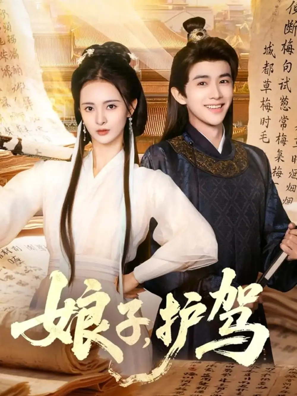 《娘子護駕（73集）》全集免費觀看