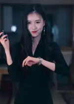 《制裁者的游戲(25集)》全集免費觀看