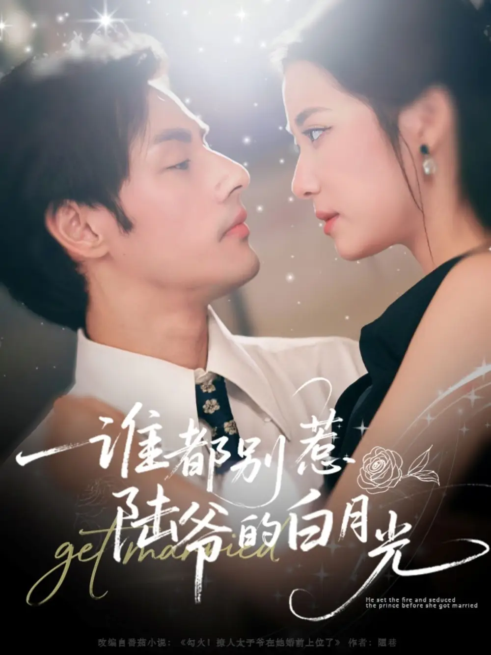 《誰都別惹陸爺?shù)陌自鹿猓?9集）》全集免費(fèi)觀看