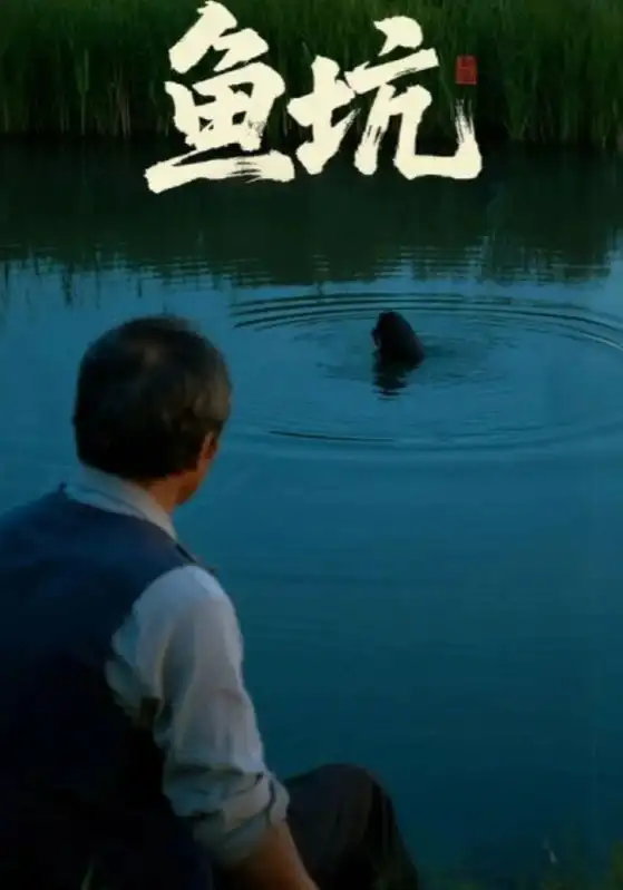 《魚坑(30集)付曉月&韓世袆》全集免費觀看