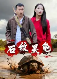 《石紋靈龜（30集）王浩&劉靈》全集免費觀看