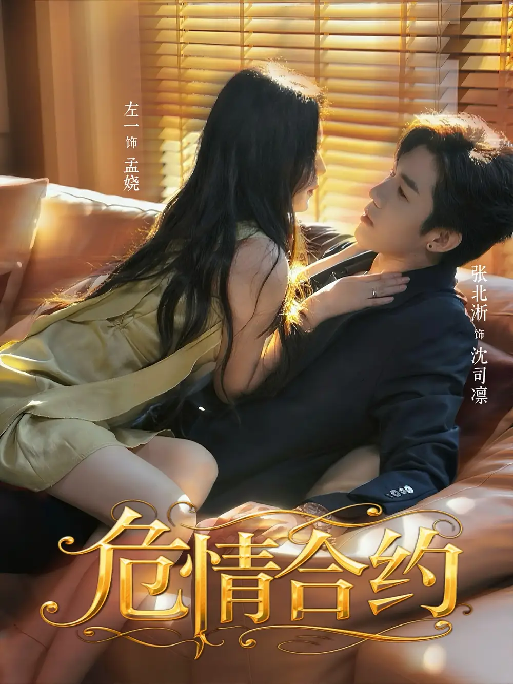 《危情合約（76集）》全集免費(fèi)觀看