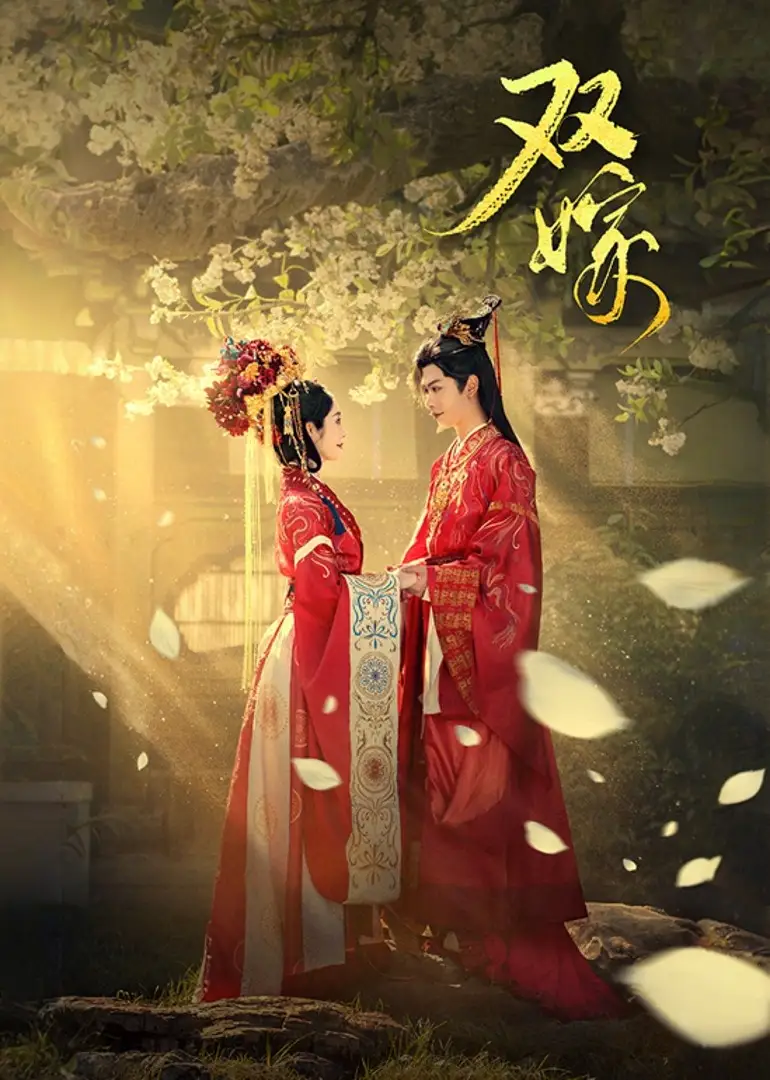 《雙嫁（60集）》全集免費(fèi)觀(guān)看