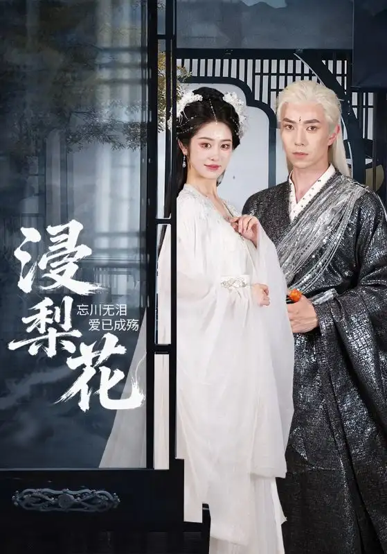 《浸梨花（50集）》全集免費觀看