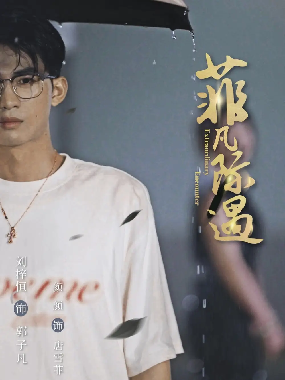 《菲凡際遇（100集）》全集免費(fèi)觀看