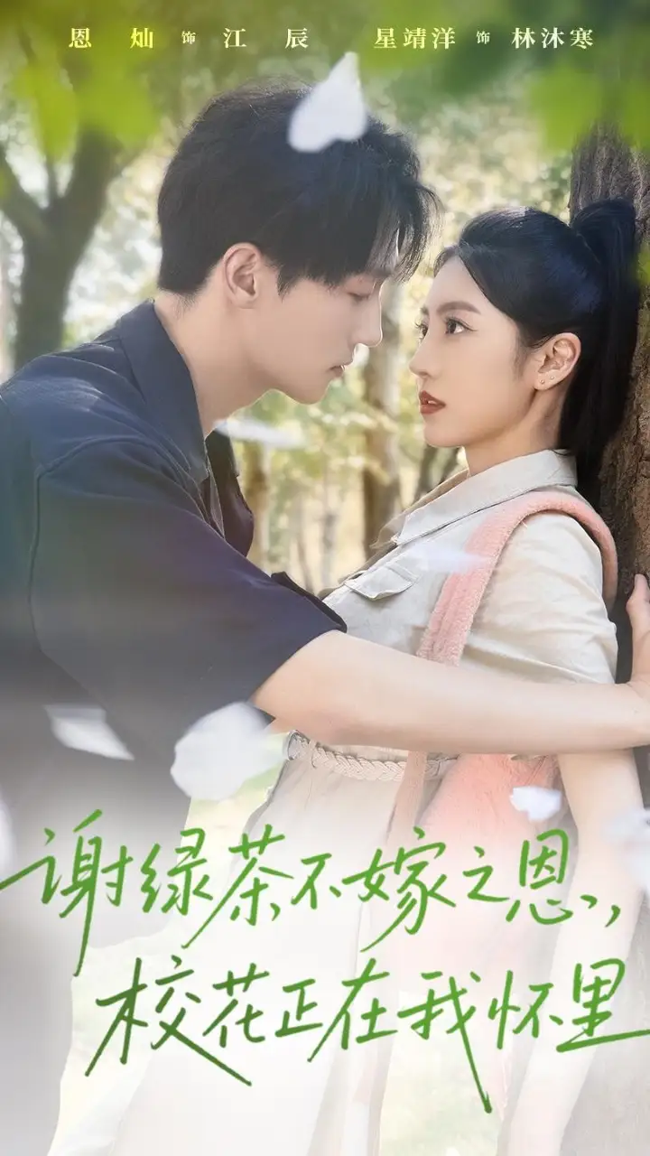 《謝綠茶不嫁之恩校花正在我懷里（56集）》全集免費(fèi)觀看