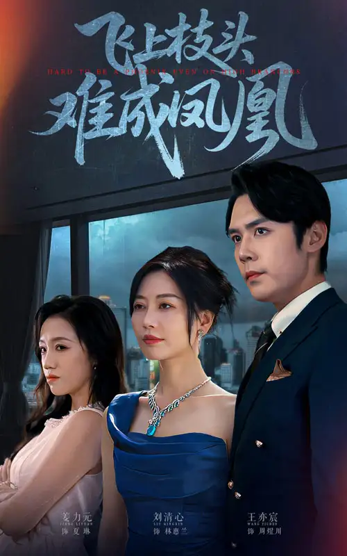 《飛上枝頭難成鳳凰（47集）》全集免費(fèi)觀看