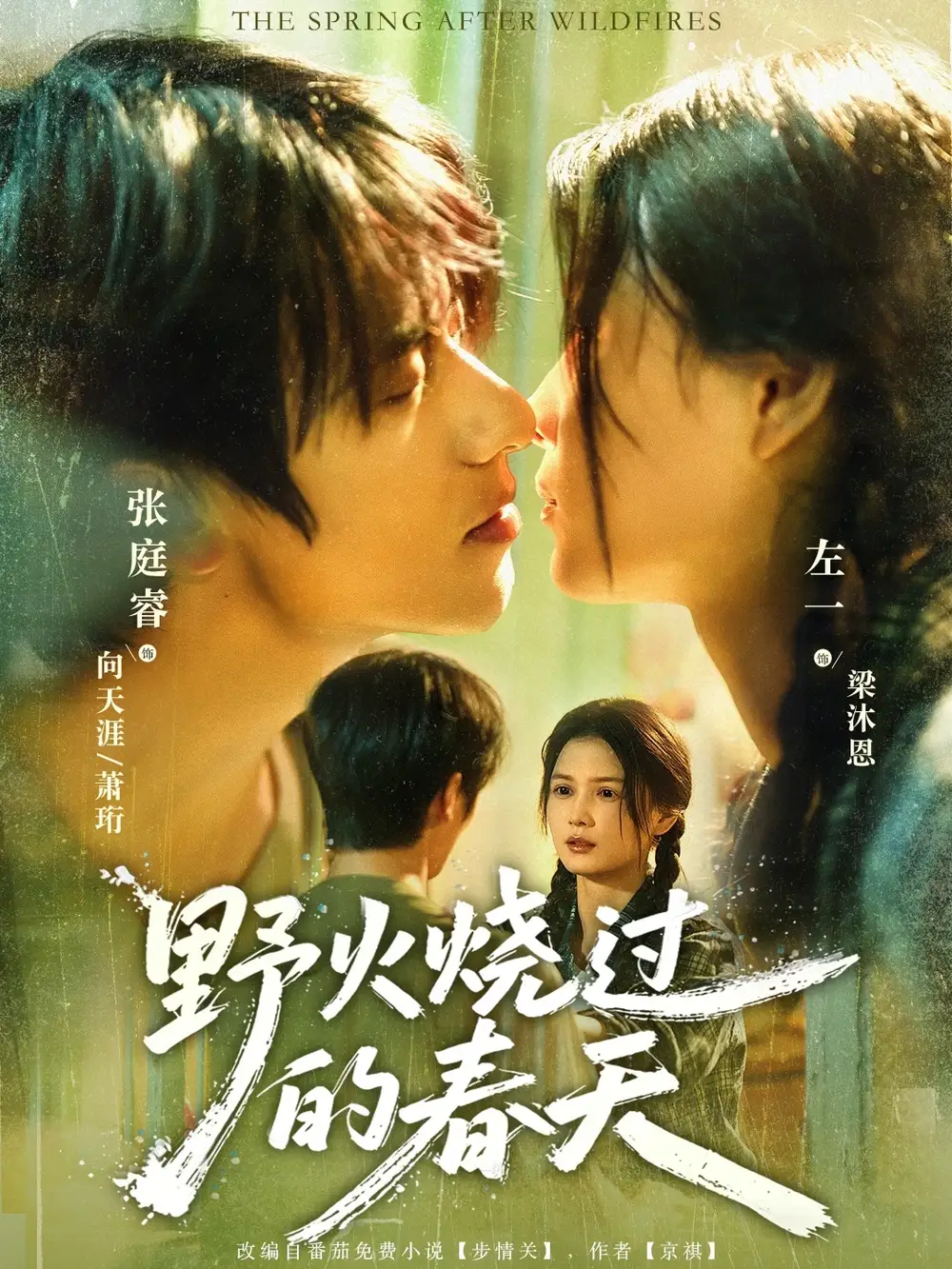 《.野火燒過的春天（85集）》全集免費觀看