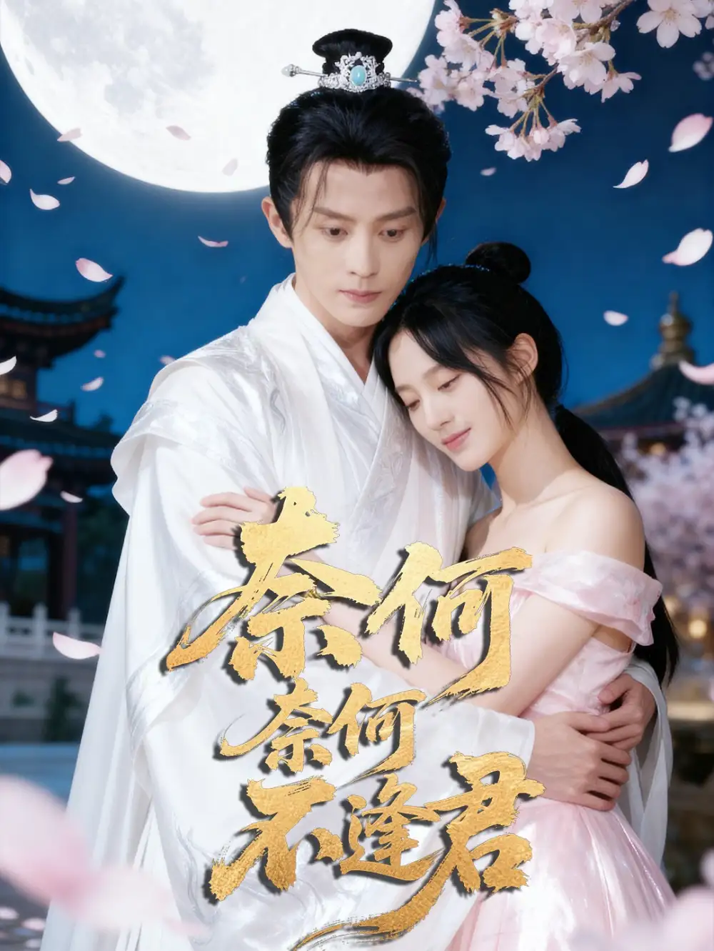 《奈何奈何不逢君（57集）駱詩琪&劉潤銘》全集免費(fèi)觀看