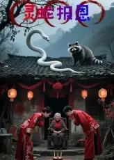 《靈蛇報恩（30集）》全集免費(fèi)觀看