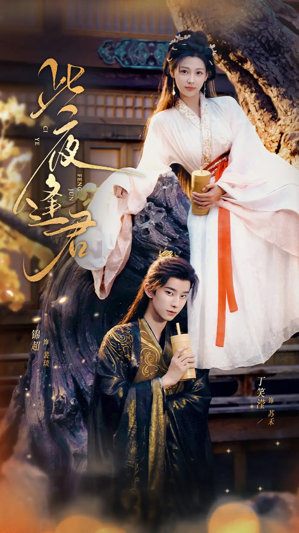 《此夜逢君(76集)》全集免費(fèi)觀看