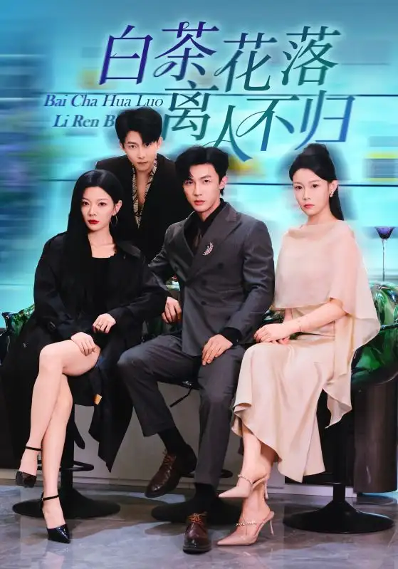 《白茶花落离人（51集）沈国洋&林初》全集免费观看
