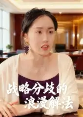《戰(zhàn)略分歧的浪漫解法（16集）》全集免費(fèi)觀看