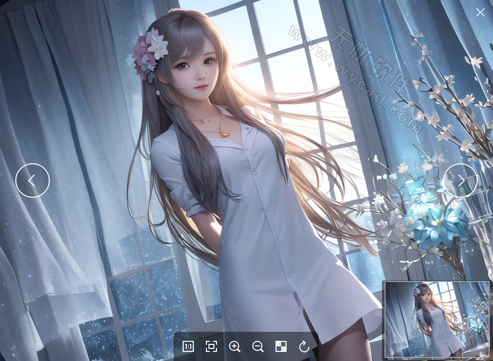 菠萝看图 | Pineapple Pictures v1.2.1 中文绿色版