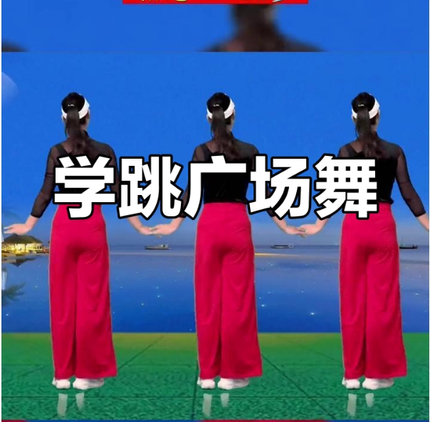 [夸克網(wǎng)盤]《高清最熱廣場(chǎng)舞視頻教學(xué)500首》 視頻教學(xué)