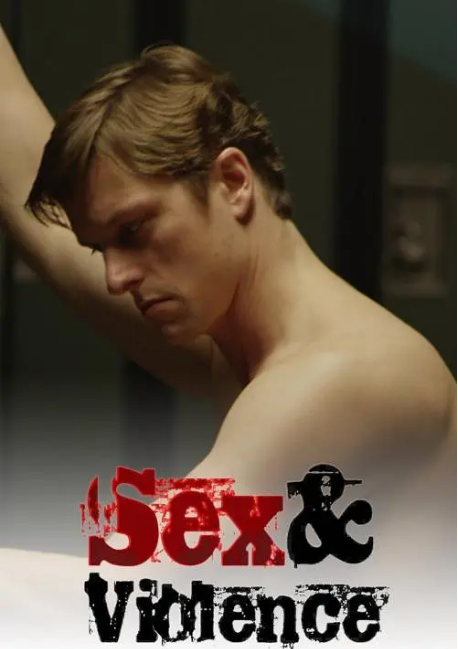 [夸克網(wǎng)盤]加拿大連續(xù)劇《性與暴力》（1-3季）（2013-2017）劇情?/?犯罪 豆瓣7.4