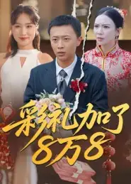 《彩禮加了8萬8(54集)》全集免費觀看