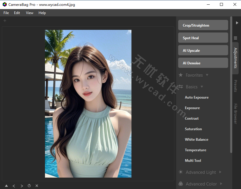 強(qiáng)大的圖像處理軟件 | CameraBag Pro v2026.0.0 綠色版