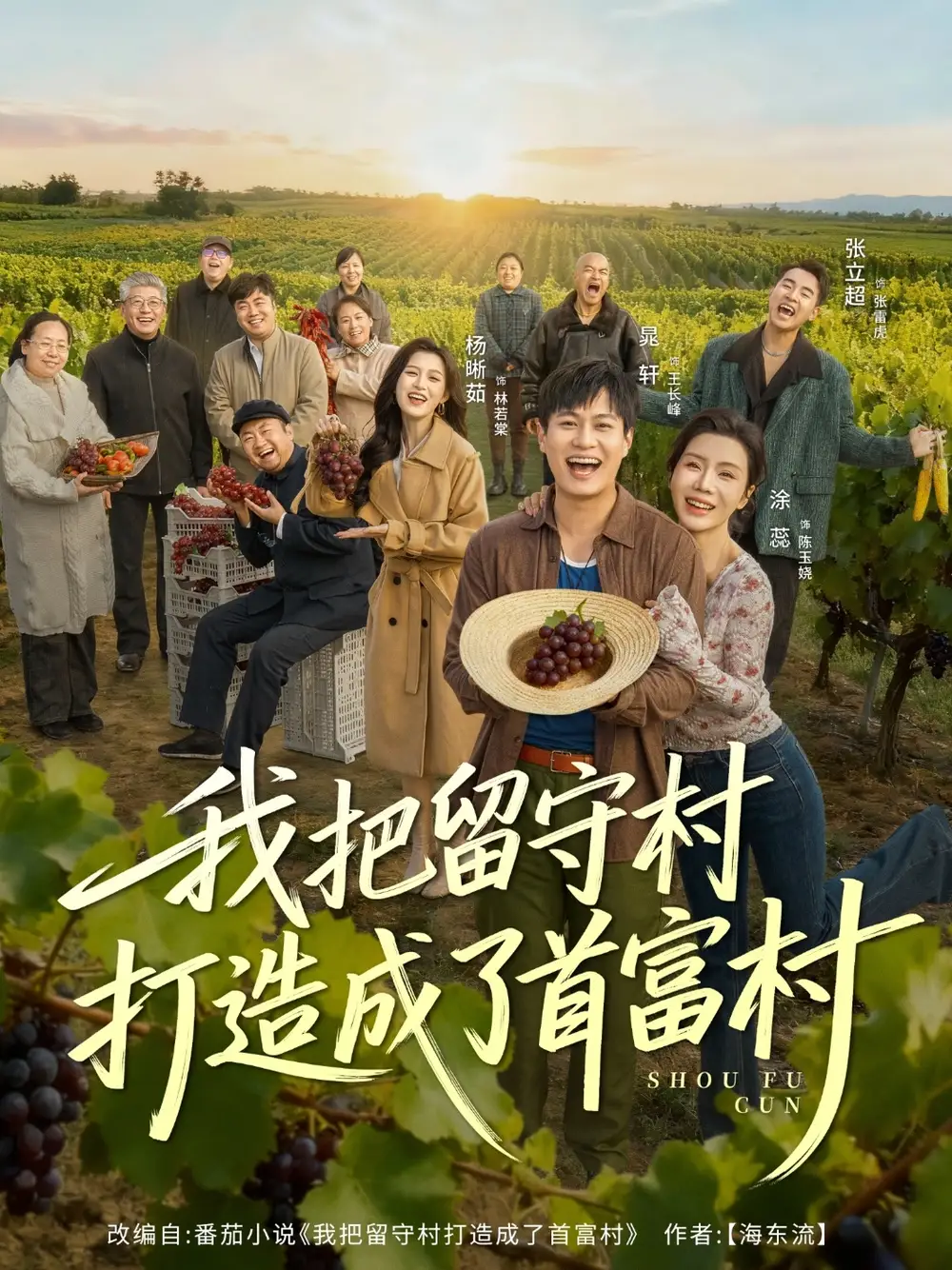 《我把留守村打造成了首富村（78集）》全集免費(fèi)觀看