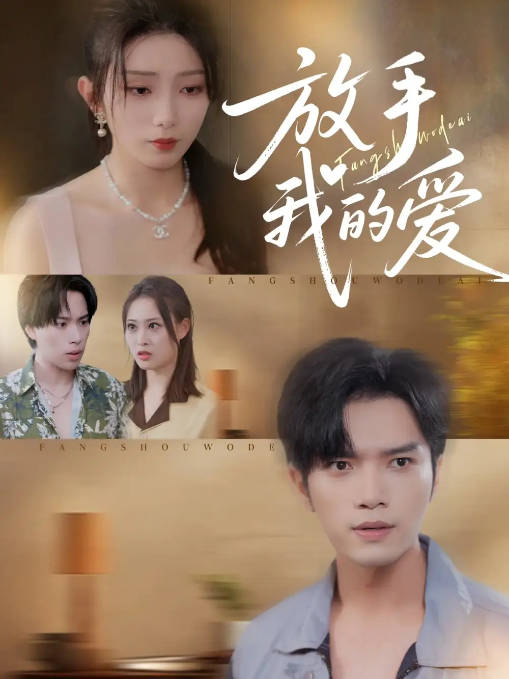 《放手我的愛（47集）》全集免費(fèi)觀看