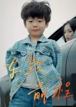 《車毀前程(30集)》全集免費觀看