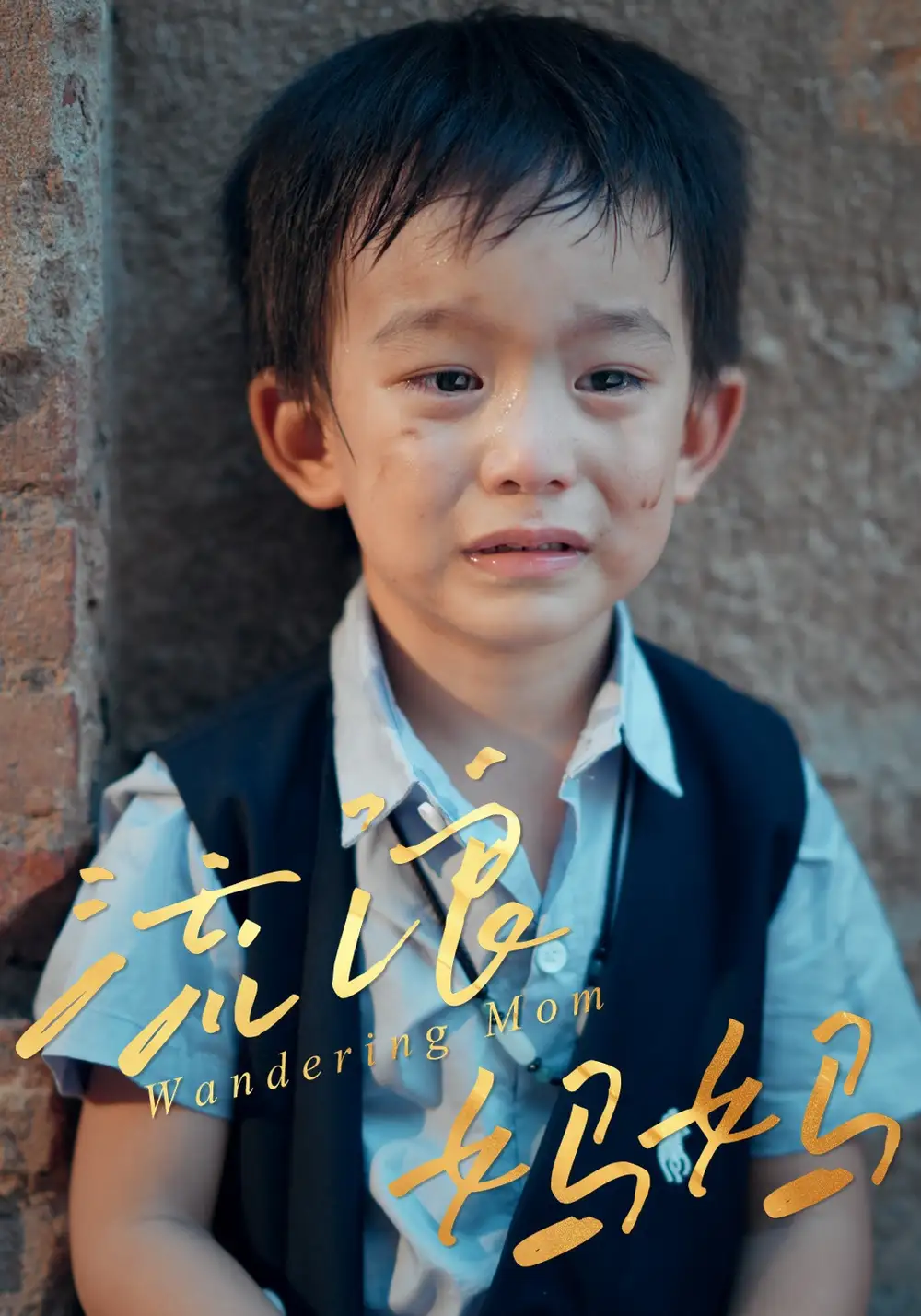 《流浪媽媽（30集）》全集免費觀看