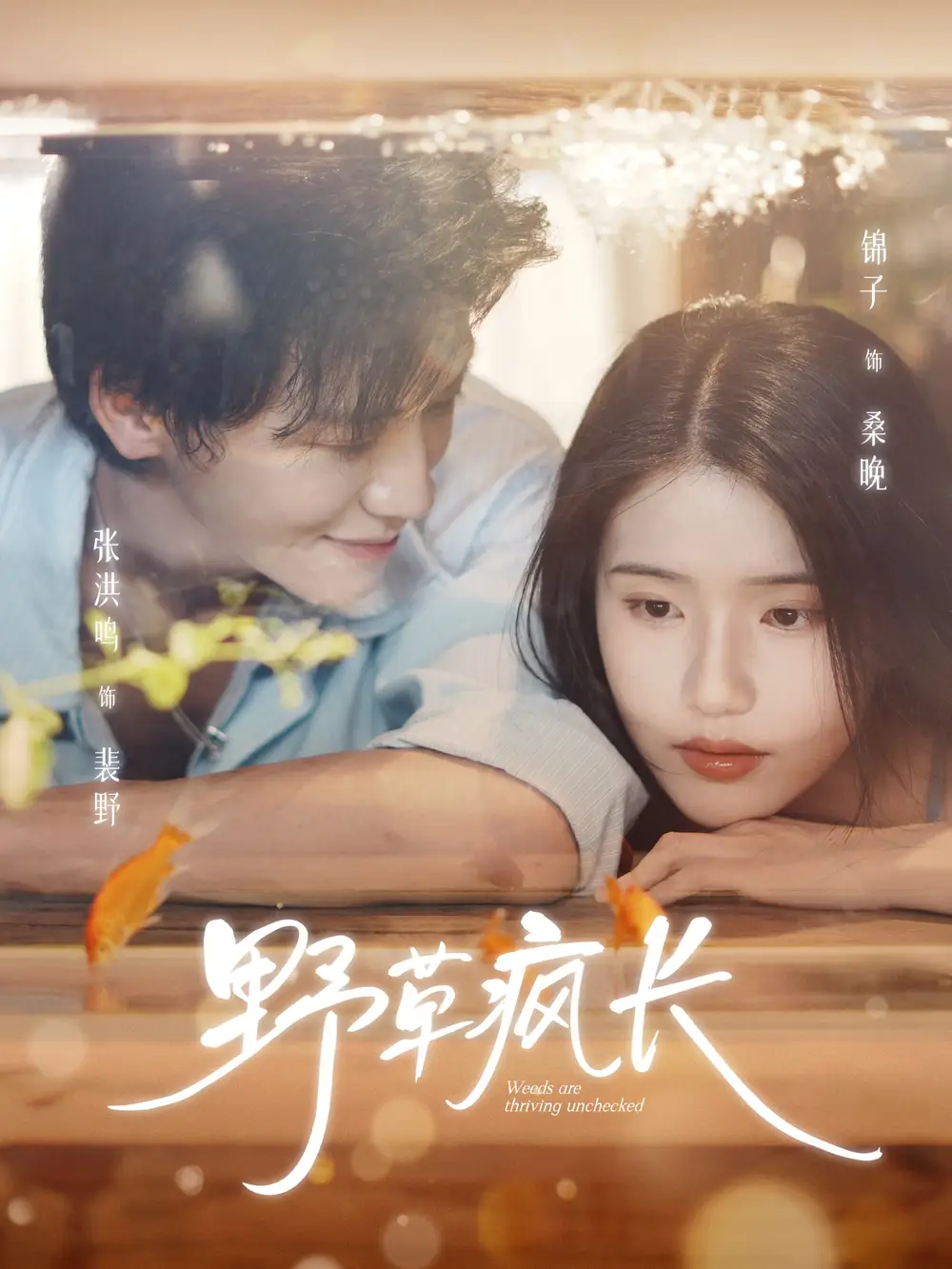 《野草瘋長（71集）張洪鳴＆錦子》全集免費觀看