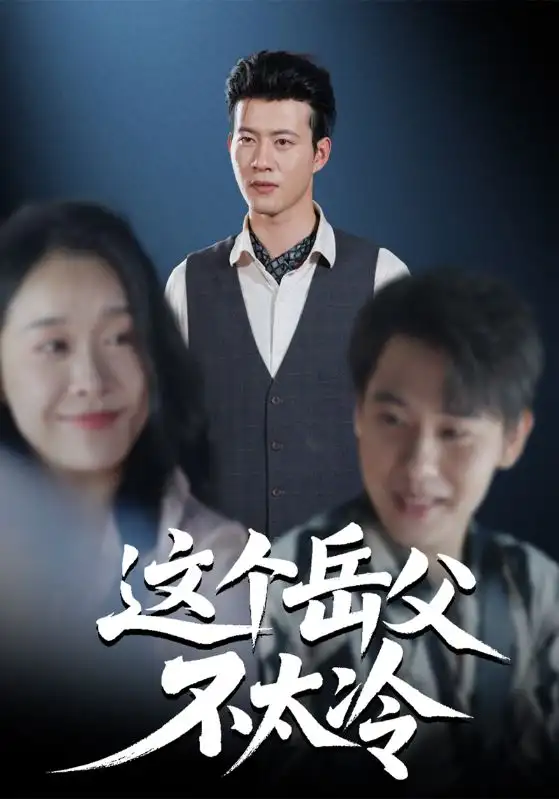 《這個(gè)岳父不太冷（30集）》全集免費(fèi)觀看