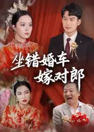 《坐錯婚車嫁對郎（32集）鐘俞&馬皓》全集免費觀看