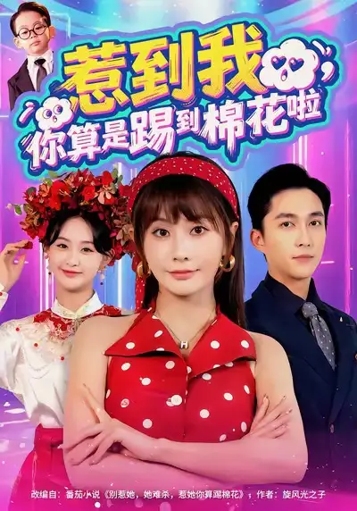 《惹到我,你算是踢到棉花啦(67集)》全集免费观看