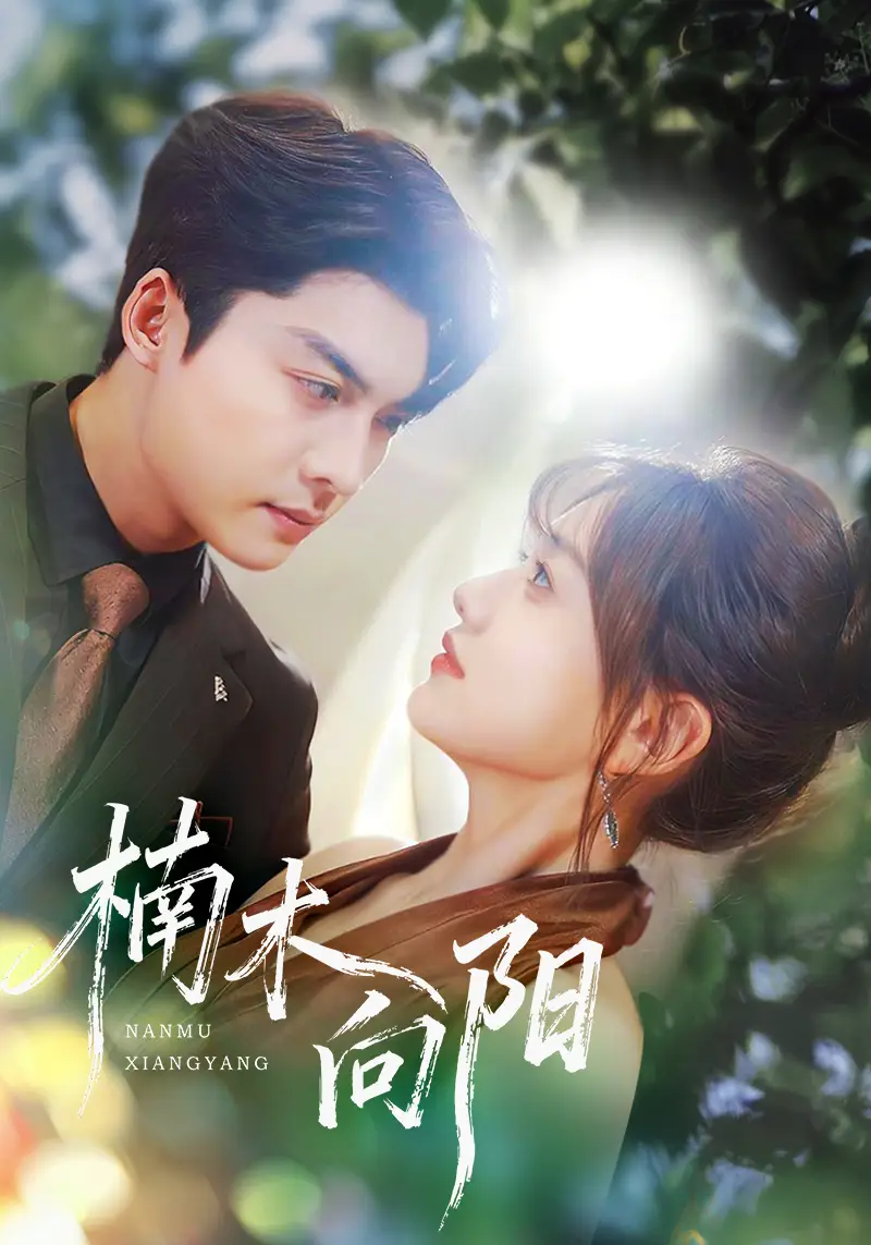 《楠木向阳(70集)》全集免费观看