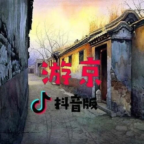 游京（抖音版）（Cover：海伦）-DJ抖音热歌