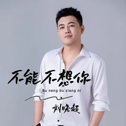不能不想你-刘晓超