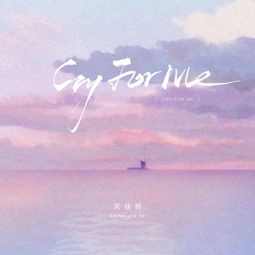 Cry For Me-宋佳野