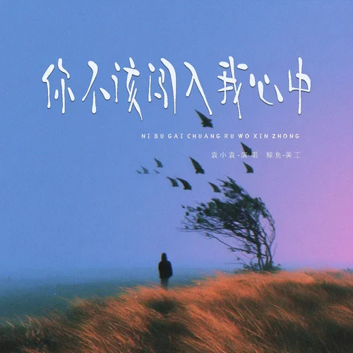 你不该闯入我心中-袁小袁