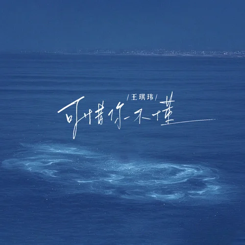 可惜你不懂-王琪玮