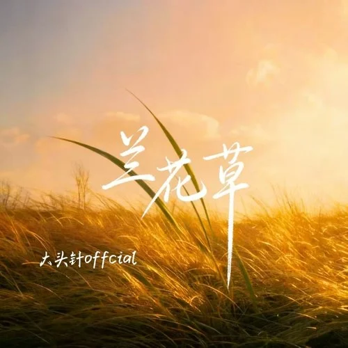兰花草 (烟嗓男版)-大头针 Official