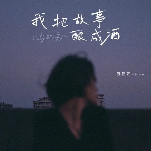 我把故事酿成酒-魏佳艺