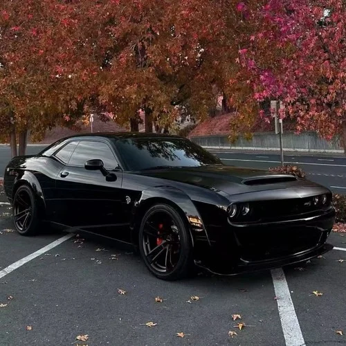 爱情买卖 (前奏氛围版)-DreamSky