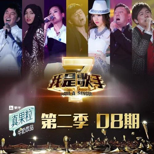 夜空中最亮的星(Live)-张杰