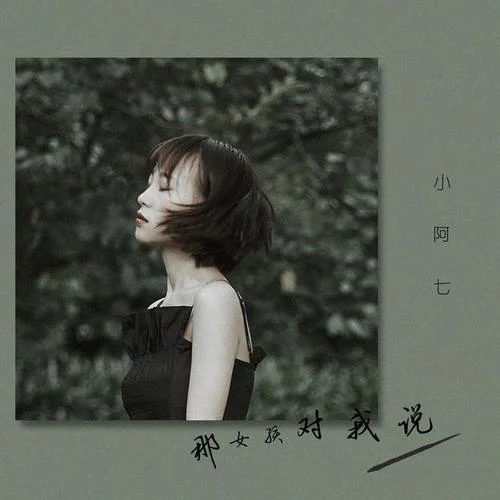 那女孩对我说(正式版)-小阿七