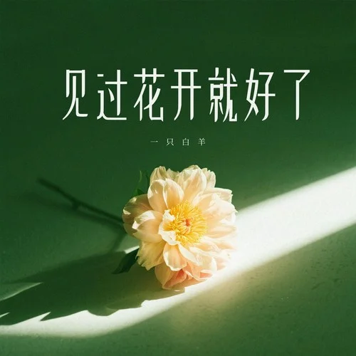见过花开就好了-一只白羊