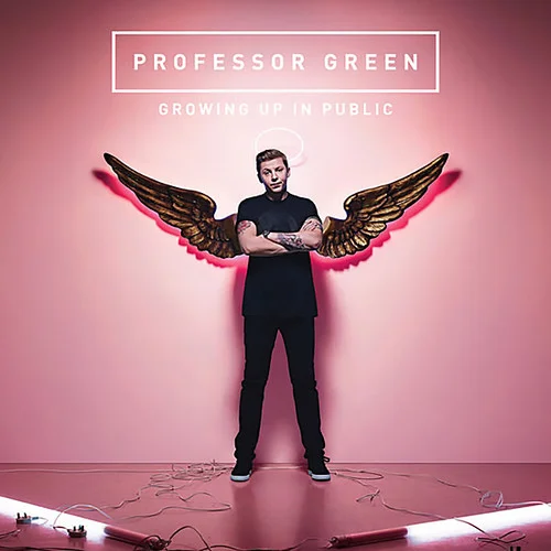 In The Shadow Of The Sun-Professor Green