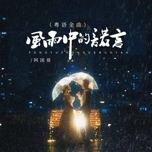 风雨中的诺言（粤语金曲）-阿国哥