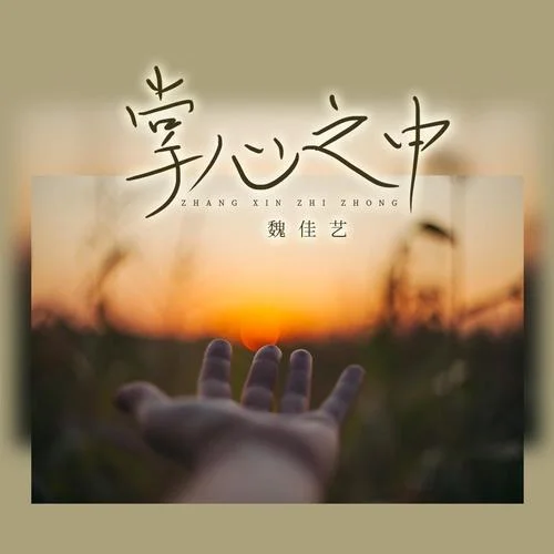 掌心之中（DJ默涵版）-魏佳艺