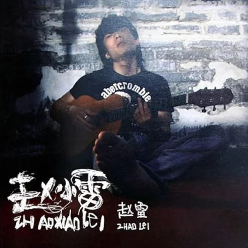 未给姐姐递出的信-赵雷