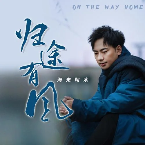 归途有风-海来阿木