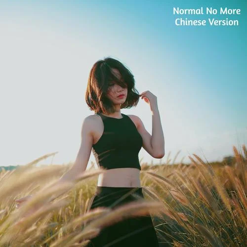 Normal No More(feat. Dj Douyin Remix|Chinese Version)-DouyinPop Remix&Dj Douyin Remix