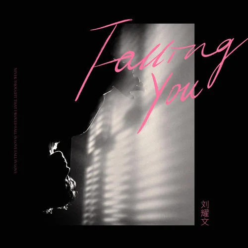 Falling You-刘耀文