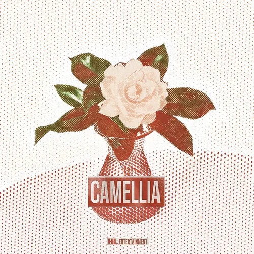 茶花开了，该回家了 (《茶花开了》说唱版)-王睿卓&加木